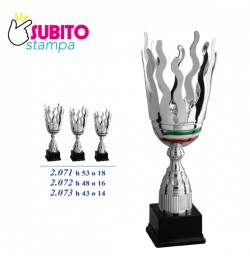 Trofeo cm 48